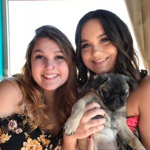 Meet your Posher, Brook